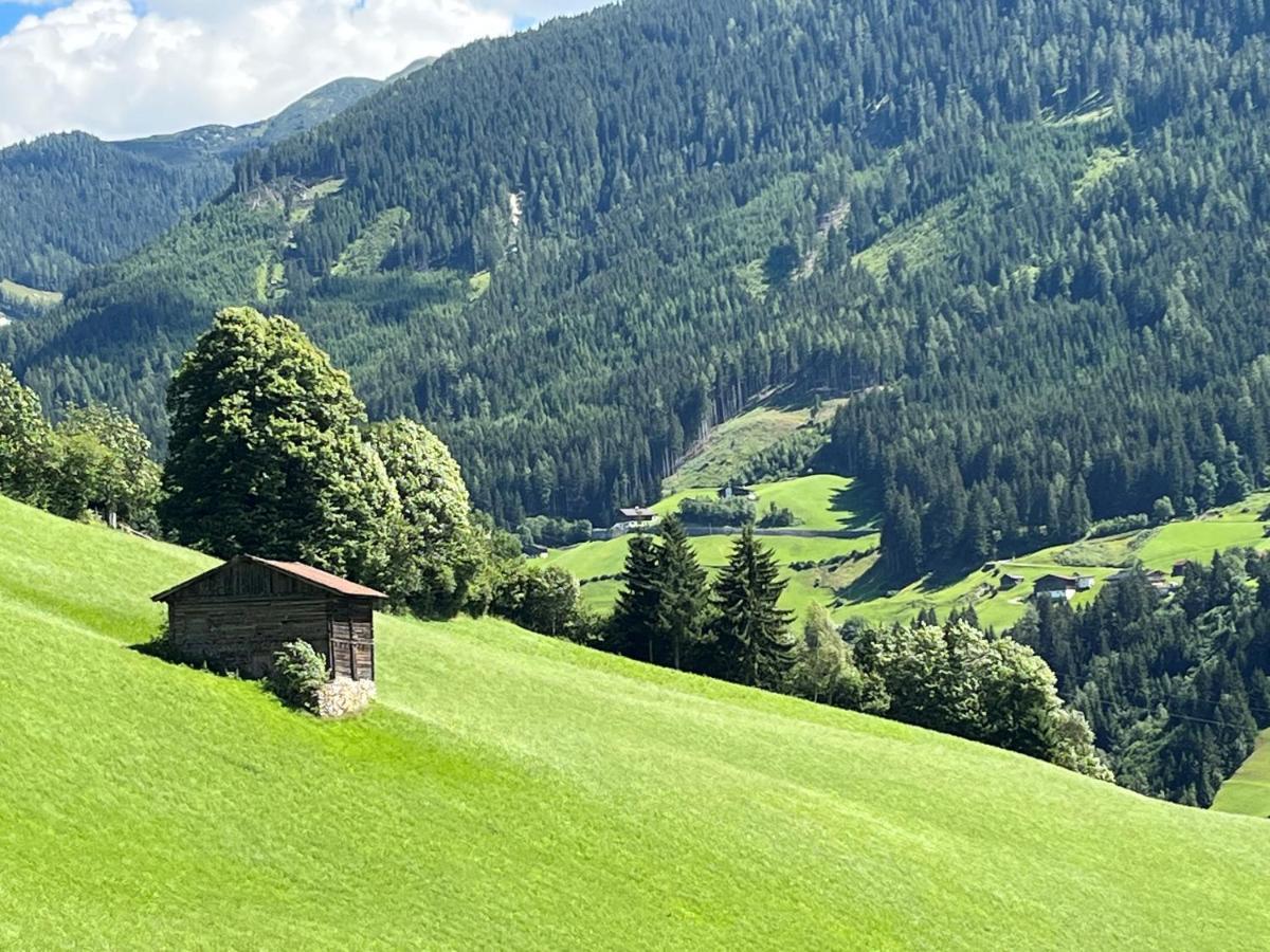 Landhaus Hoellwarth Zell am Ziller Extérieur photo