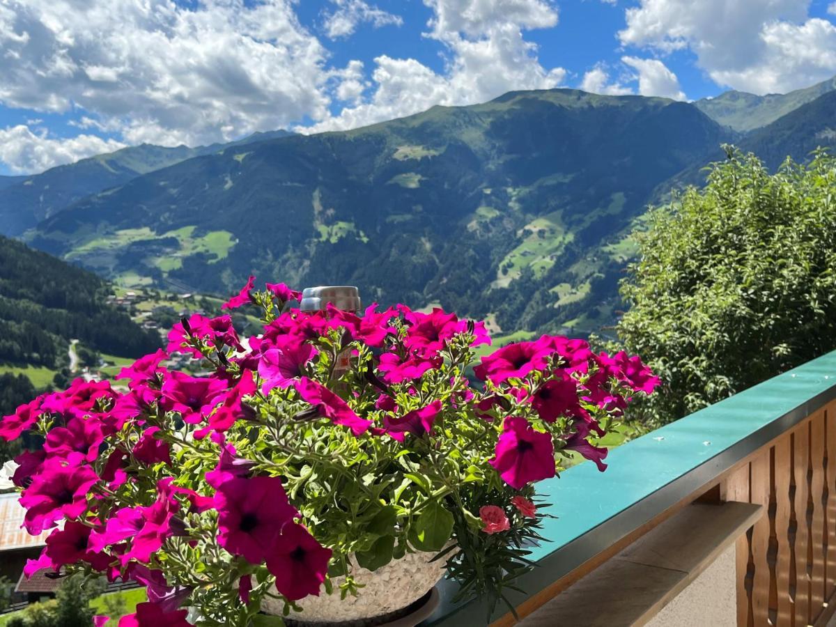 Landhaus Hoellwarth Zell am Ziller Extérieur photo
